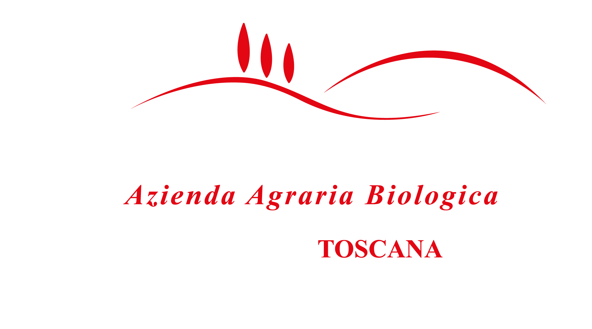 Azienda agricola Monteriggioni – logo bianco