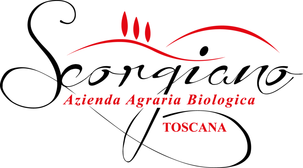 Azienda agricola Monteriggioni – logo nero