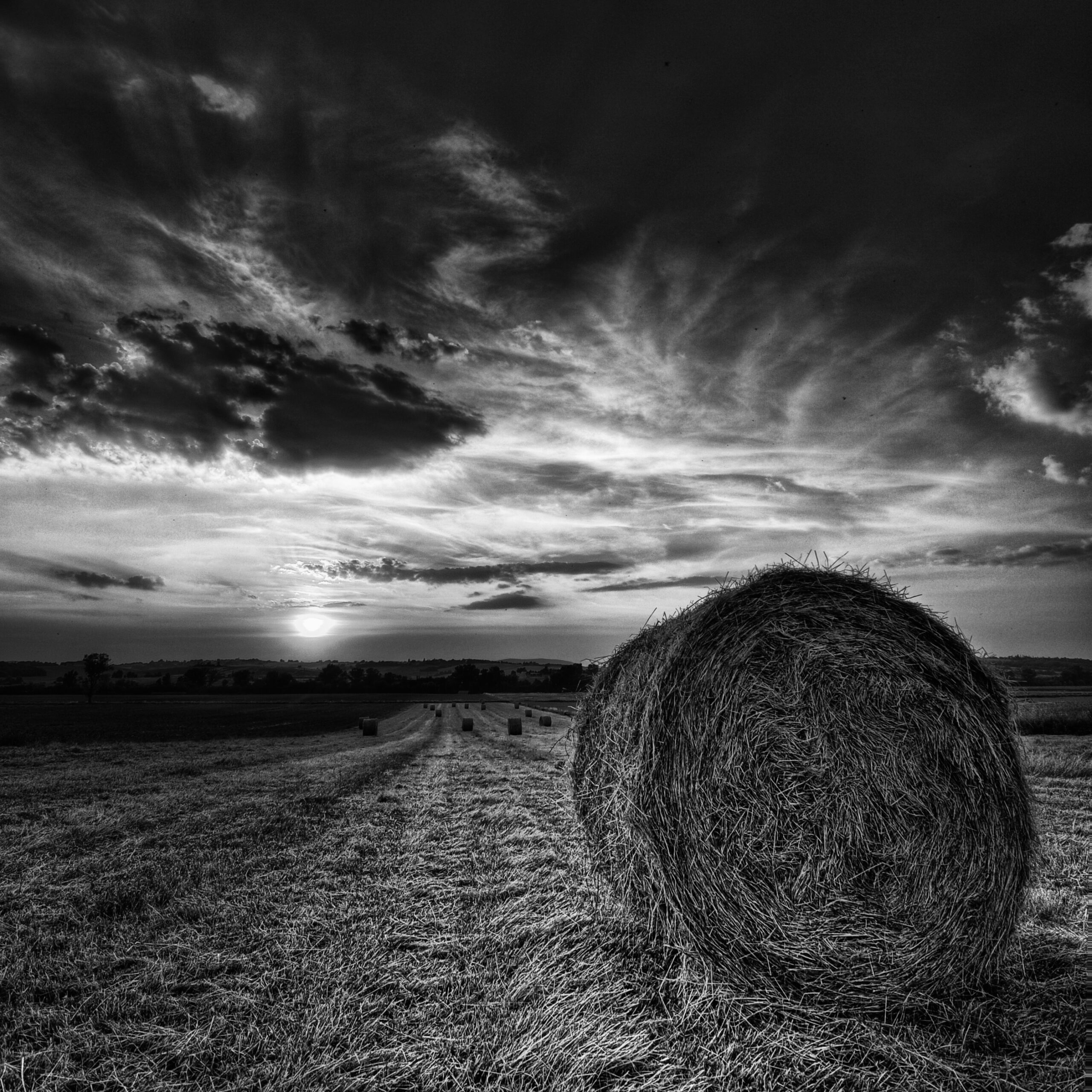 Agricoltura biologica Toscana – rotoballa di fieno al tramonto