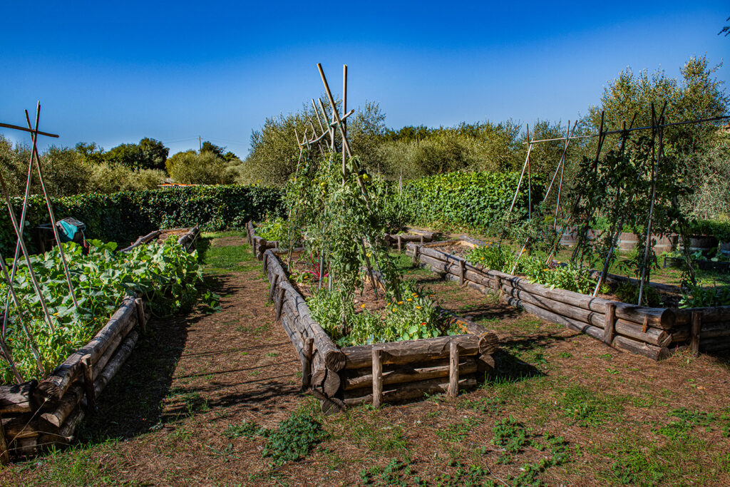 Agricoltura biologica Toscana – orto con bancali di verdure