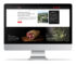 News Scorgiano – nuovo sito online su schermo desktop