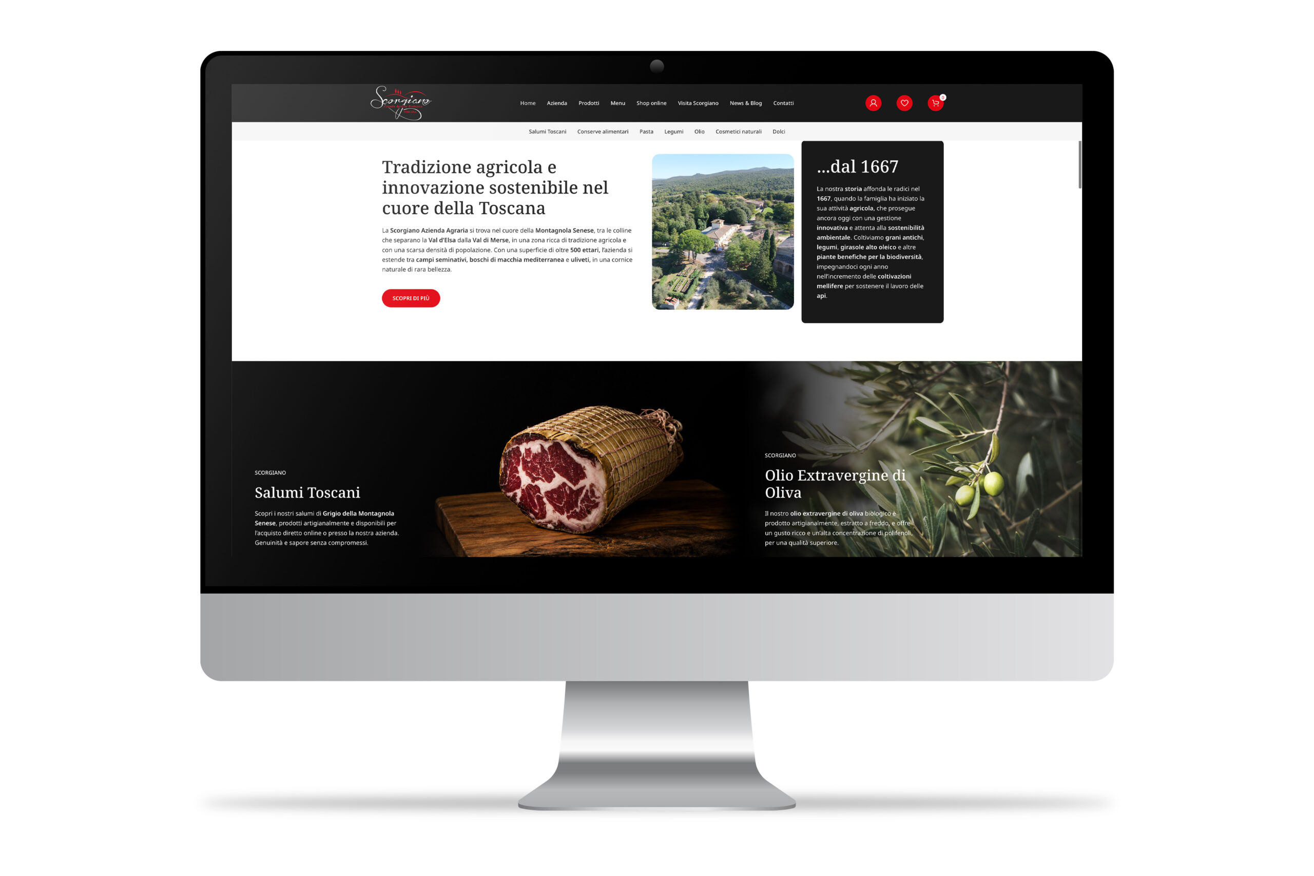News Scorgiano – nuovo sito online su schermo desktop
